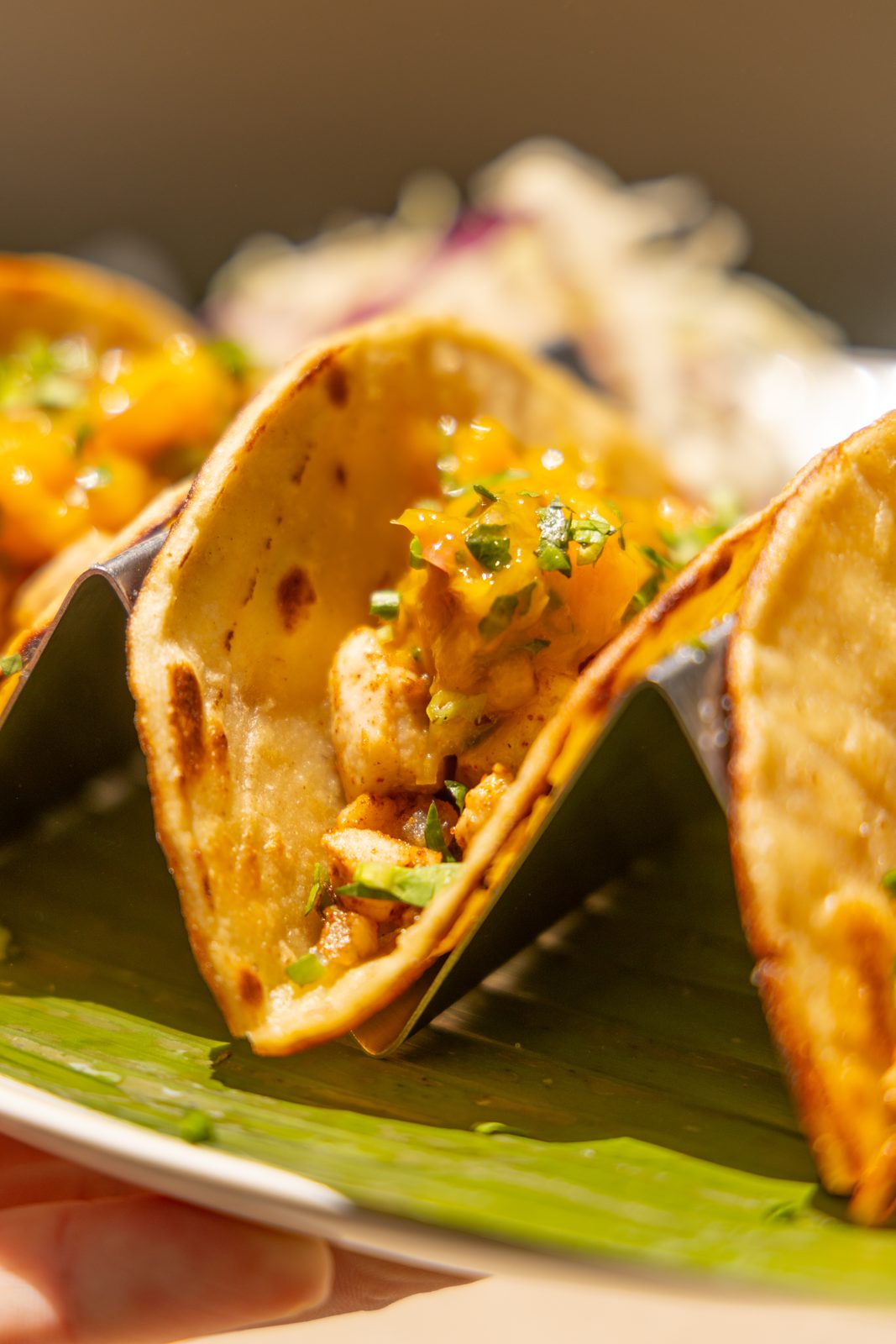 Fish taco with mango salsa, close up