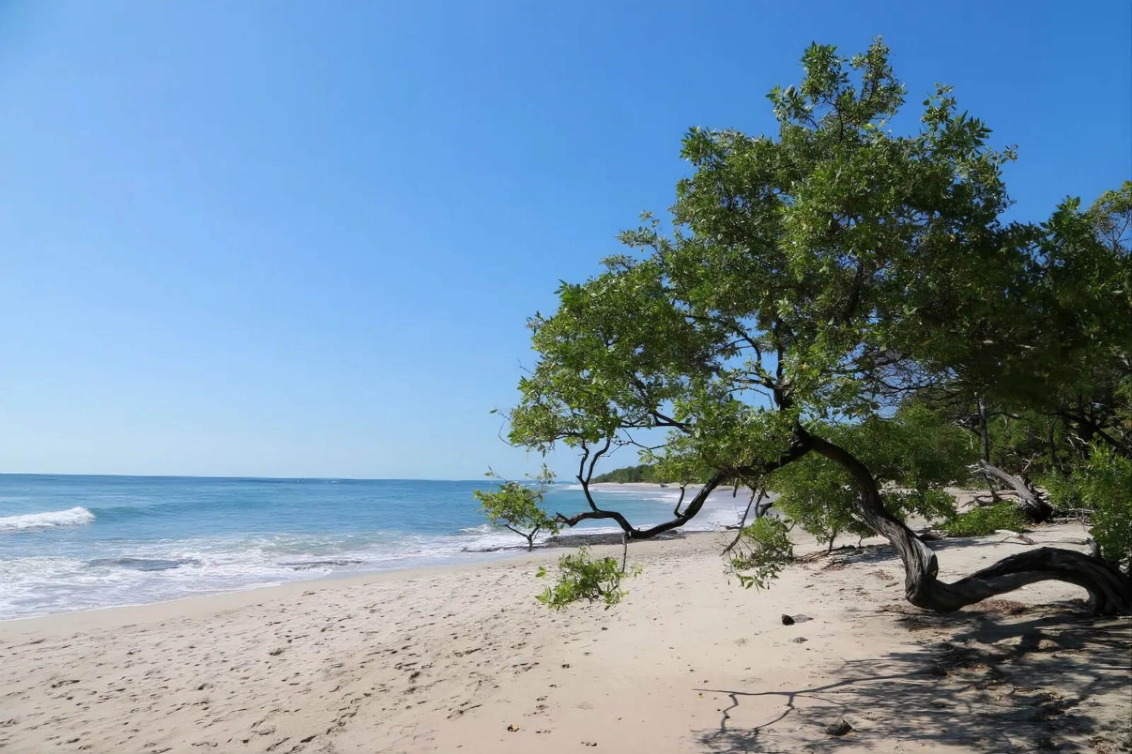 Wildlife & Nature at Black Coast Estates