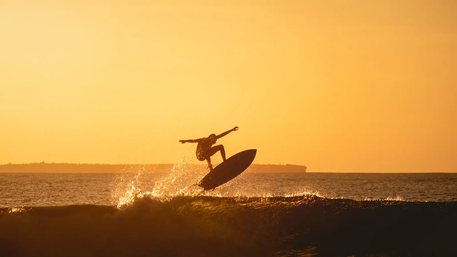 Surf on Your Own Beach Year-Round