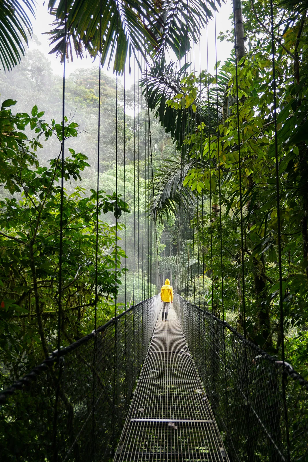 How Much Does It Cost to Own Oceanfront Property in Costa Rica?