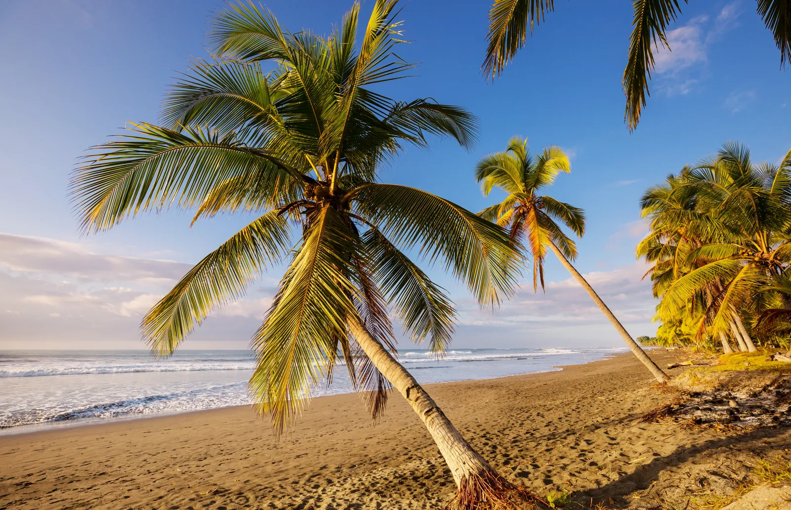 Luxury Properties for Couples Seeking Privacy in Costa Rica
