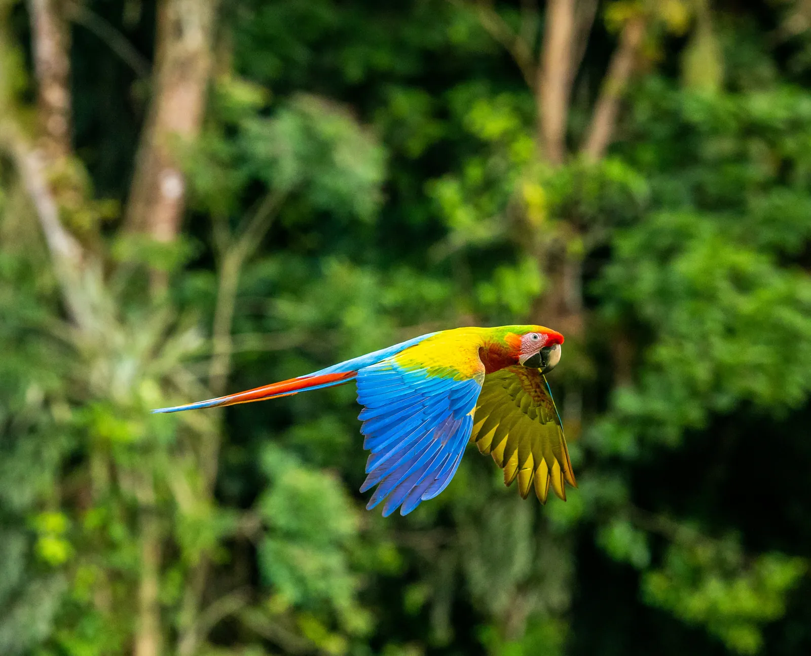 Legal Requirements for Buying Beachfront Property in Costa Rica?